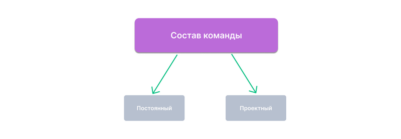 Постоянный и проектный состав команды